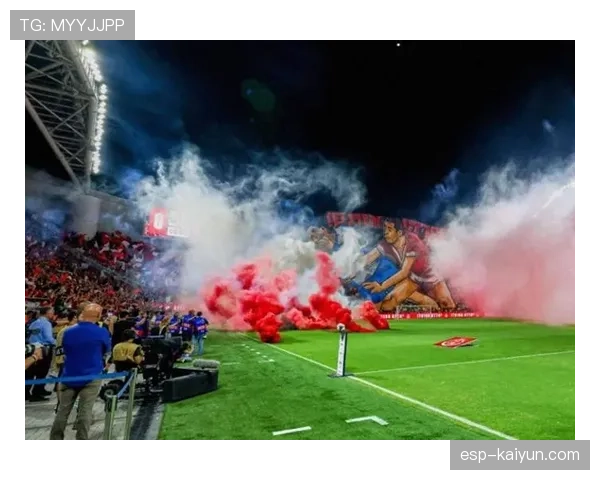 弗罗西诺内主场因球迷投掷烟雾弹中断比赛十分钟